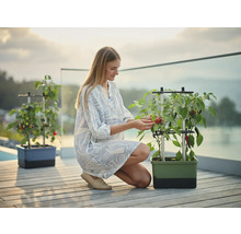 Femme récoltant des légumes dans un potager urbain sur une terrasse.