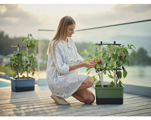 Femme récoltant des légumes d'un pot de fleurs avec support grimpant sur une terrasse.