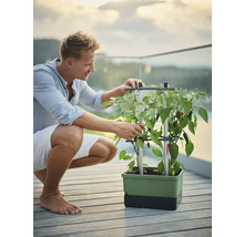 Homme avec jardinière et piment en plein air
