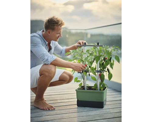 Homme avec jardinière et piment en plein air