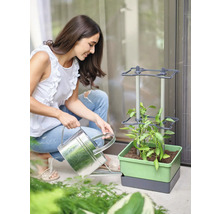 Femme arrosant une plante dans un parterre vertical avec un arrosoir