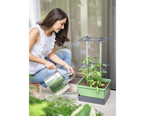 Femme arrosant une plante dans un parterre vertical avec un arrosoir