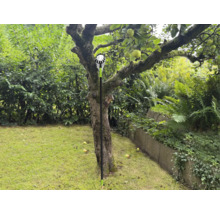 Cueille-fruits en cours d'utilisation sous un pommier dans le jardin