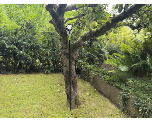 Cueille-fruits en cours d'utilisation sous un pommier dans le jardin