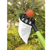 Cueille-fruits en cours d'utilisation sur un arbre