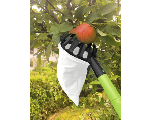 Cueille-fruits en cours d'utilisation sur un arbre
