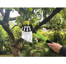 Cueille-fruits en action pour récolter des pommes sur un arbre.