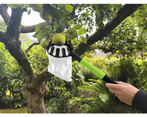 Cueille-fruits en action pour récolter des pommes sur un arbre.