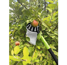 Cueille-pomme en utilisation sur un pommier