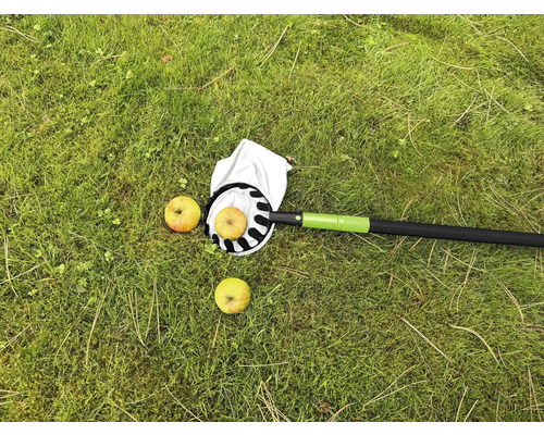 Cueille-fruits avec des pommes sur une pelouse