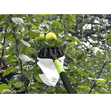 Cueille-fruits en utilisation sur un pommier