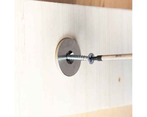 Vis avec rondelle vissée dans du bois