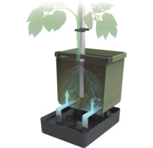 Illustration d'un kit de culture de tomates avec système d'irrigation