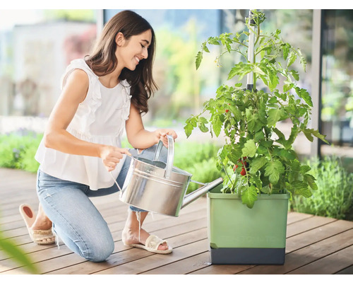 Femme arrosant un plant de tomates dans un potager surélevé avec un arrosoir.