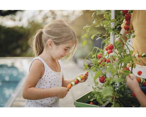 Une fille récolte des tomates et prépare des brochettes de légumes dans un potager surélevé