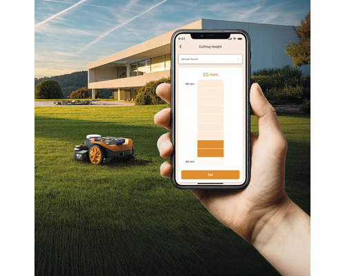 Handy mit App zur Schnitthöheneinstellung eines Rasenmähroboters auf einem Rasen