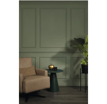 Vue intérieure avec fauteuil, table d'appoint, pomme décorative et plante devant des panneaux muraux