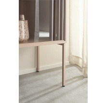 Gros plan d'une armoire avec portes en verre et un vase