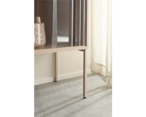 Gros plan d'une armoire avec portes en verre et un vase