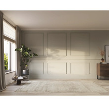 Salon lumineux avec tapis, commode et plante d'intérieur devant une fenêtre