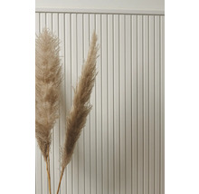 Graminées décoratives devant un mur en panneaux