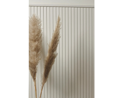 Graminées décoratives devant un mur en panneaux