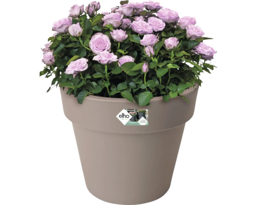 Rose en pot en matériau recyclé