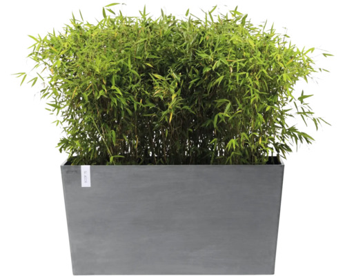 Bac  plantes haut Ecopots Paris plastique mat 100 x 40 x 50 cm gris avec  roulettes - HORNBACH Luxembourg
