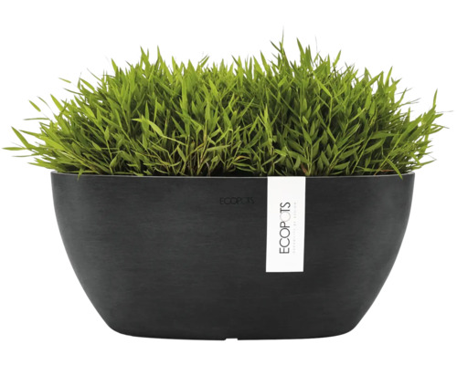 Ovale schwarze ECOPOTS Pflanzschale mit grüner Pflanze.