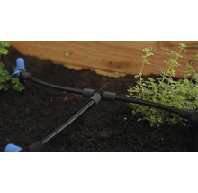 Système d'irrigation avec tuyau d'arrosage goutte à goutte dans le parterre pour l'irrigation des plantes