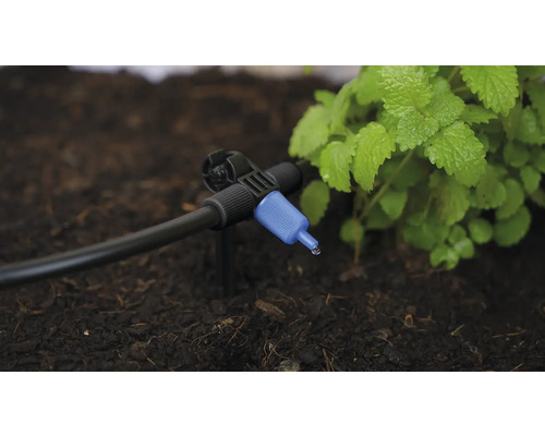Système d'irrigation goutte à goutte pour arroser les plantes du jardin.