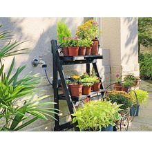 Fleurs sur une étagère et en pots à l'extérieur.