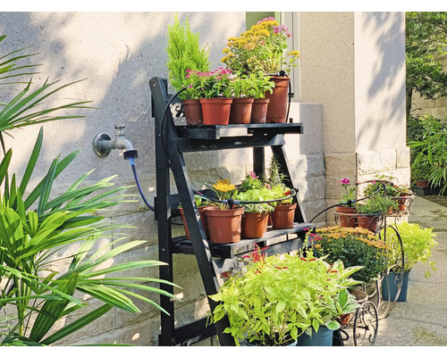 Fleurs sur une étagère et en pots à l'extérieur.