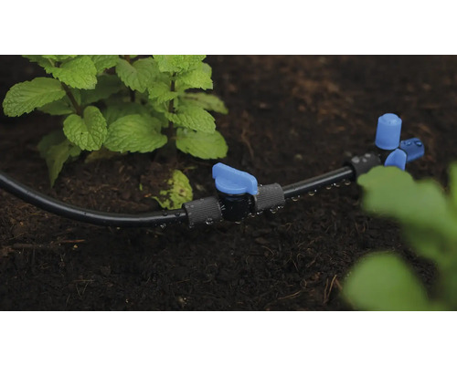 Système d'irrigation avec tuyau d'arrosage et vanne d'arrêt dans le jardin