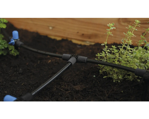 Système d'irrigation dans un parterre de jardin avec des plantes