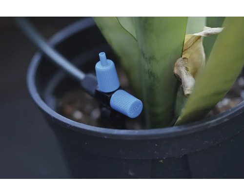 Goutteur de système d'irrigation dans un pot de fleurs avec plante