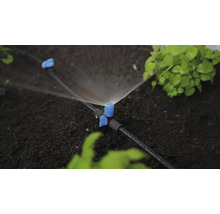 Système d'irrigation avec goutteurs et plantes dans le jardin