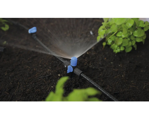 Système d'irrigation avec goutteurs et plantes dans le jardin