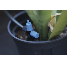 Système d'irrigation avec vanne de réglage dans un pot de fleurs