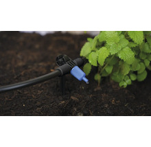 Arrosage goutte à goutte avec vanne de régulation pour l'arrosage des plantes dans le jardin