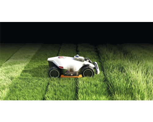 Robot tondeuse à gazon en fonctionnement sur une pelouse.