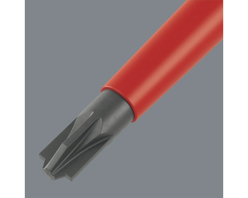 Schraubendreher mit Torx Profil