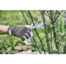 Jardinage avec un sécateur et des gants de jardin sur un arbuste épineux.
