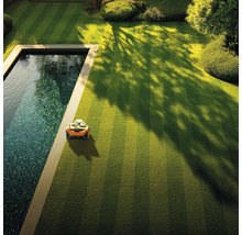 Rasenroboter auf einem Rasen neben einem Pool