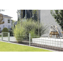 Gartenszene mit einem Metallzaun, Gras und Pflanzen