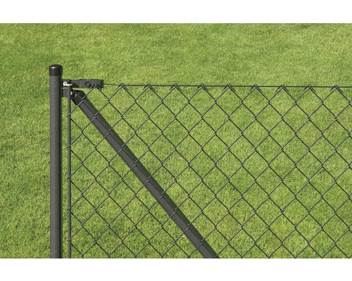 Vue détaillée d'une clôture en grillage avec poteaux devant une pelouse verte