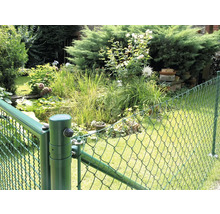 Clôture grillagée verte autour d'un jardin avec bassin et plantes