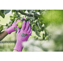Gros plan sur des mains gantées de jardinage cueillant une pomme