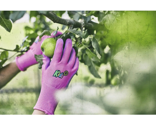Gros plan sur des mains gantées de jardinage cueillant une pomme