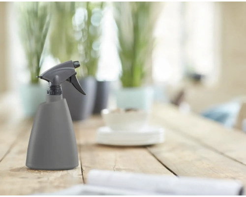 Vaporisateur pour plantes sur une table en bois